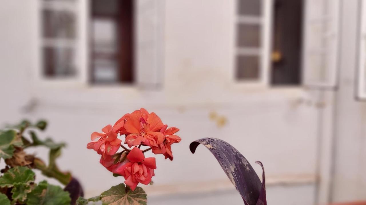 Del Parque Flats Alamos Terraza Διαμέρισμα Μάλαγα Εξωτερικό φωτογραφία