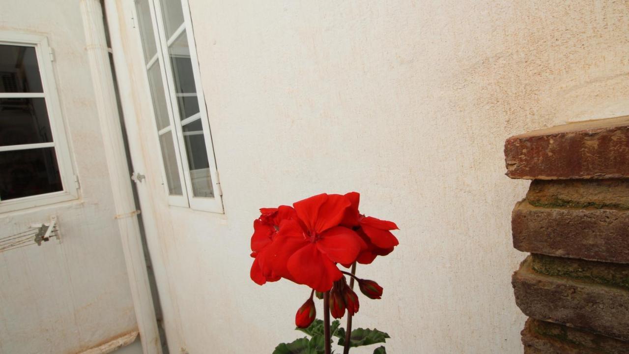 Del Parque Flats Alamos Terraza Διαμέρισμα Μάλαγα Εξωτερικό φωτογραφία